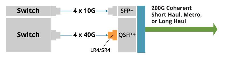100G/200G Muxponder Solution