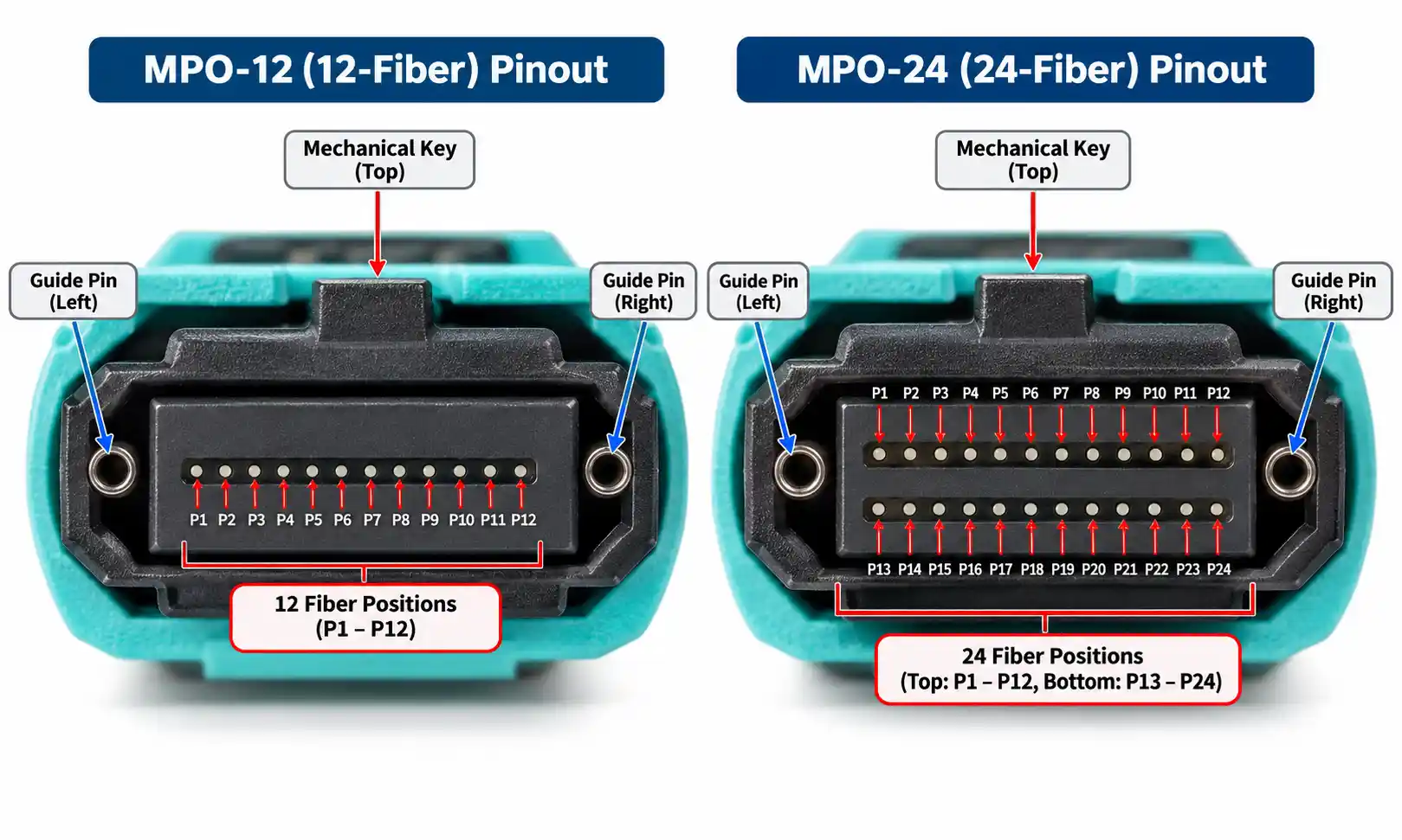 MPO Connector Pinout: 12F and 24F Fiber Assignments