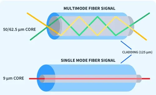 Single-mode fiber and multimode fiber