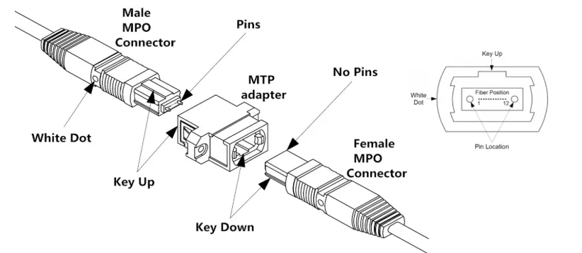 Gender: Pins In, Pins Out, That Is Basically It Gender: Pins In, Pins Out, That Is Basically It