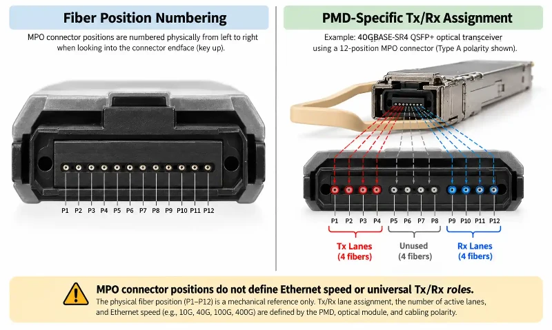 MPO fiber positions and Tx Rx assignment MPO fiber positions and Tx Rx assignment