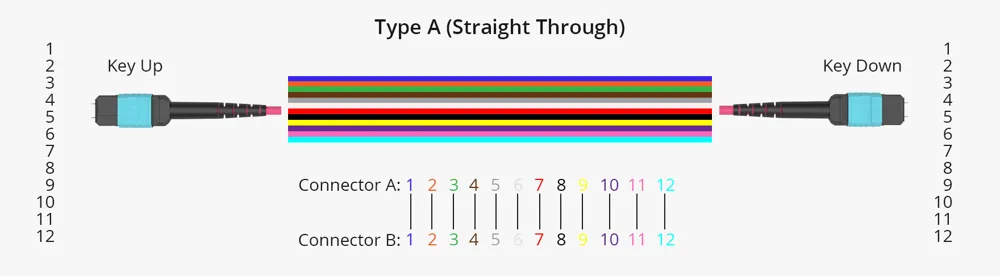 Type A Type A