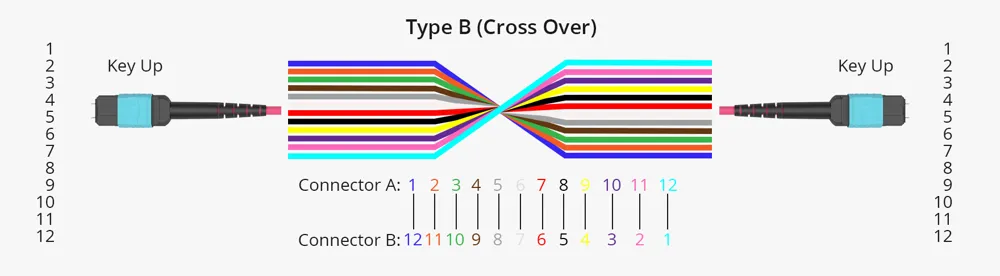 Type b Type b