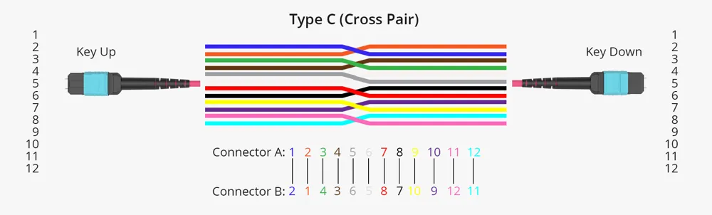 Type c Type c